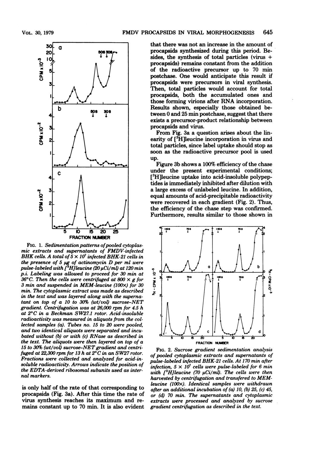 VOL. 3, 1979 l 'I - 3-4- 4- "3 b 58 38. 5 K) 15 2 25 FRACTON NUMBER FIG. 1. Sedimentation patterns ofpooled cytoplasmic extracts and supernatants of FMDV-infected BHK cells.