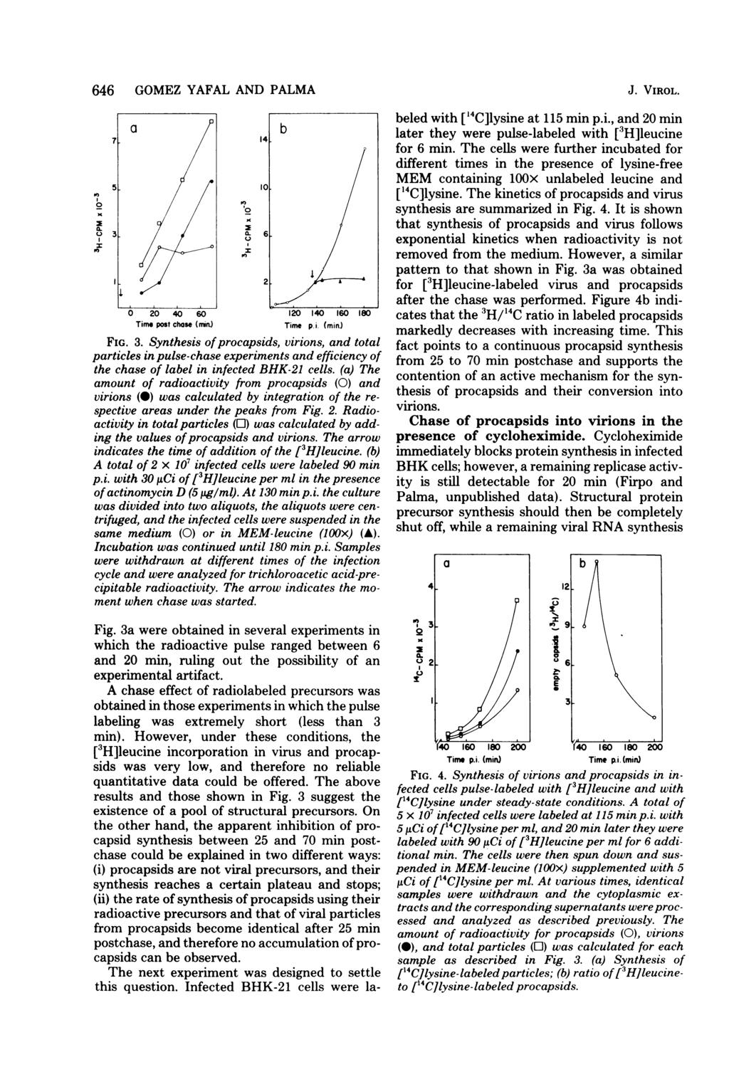 646 GOMEZ YAFAL AND PALMA I 7 5 3 2 4 6 Time post chose (nrn) 12 14 16 18 Time p. i. (min.) FIG. 3. Synthesis ofprocapsids, virions, and total particles in pulse-chase experiments and efficiency of the chase of label in infected BHK-21 cells.