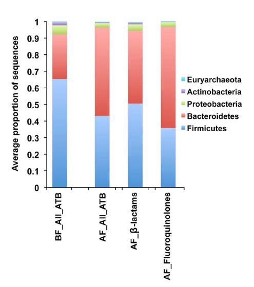 Short term impact of antibiotics Microbial composition at the phylum
