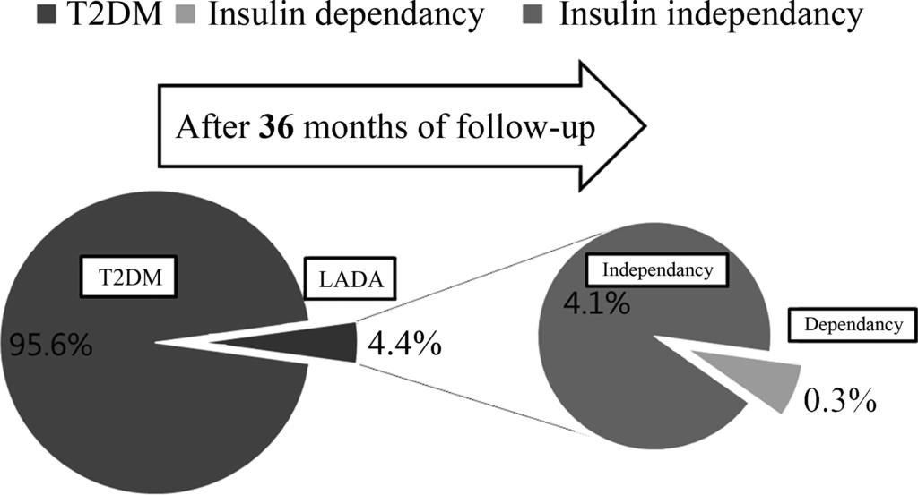 LADA Prevalence Estimation and Insulin Dependency 977 diagnosed by the autoantibody criteria developed insulin dependency.