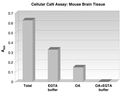 User Protocol 207007 Rev. 27-July-04 JSW Page 8 of 9 Figure 2: Cellular Calcineurin (CaN) Assay using Mouse Brain. Phosphatase activity from freshly prepared mouse brain extract.