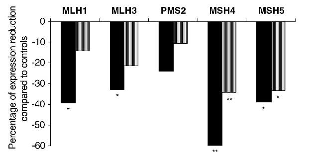 13 severe MFI vs 5 GCT vs 10 controls RT-PCR MLH1, MLH3, PMS2, MSH4, MSH5 expression correlated with