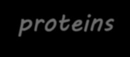 PROTEINS Types of Amino acids (proteins)?