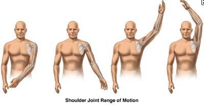 Non-operative Initially: Rest Activity modifications NSAIDs Physical therapy: Range of motion