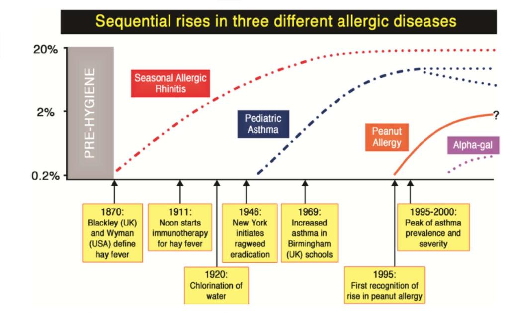 Peanut Allergy Origins Copied