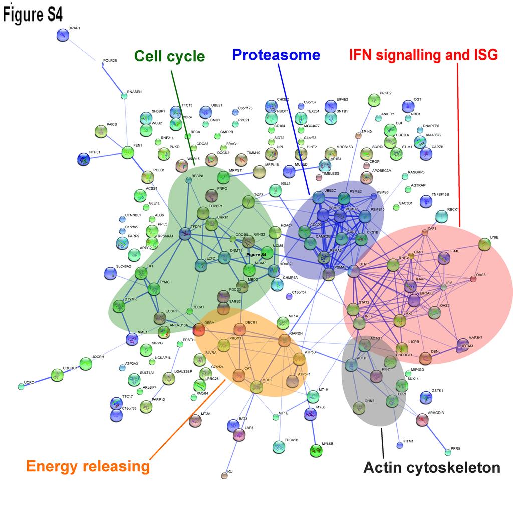 8 Figure S4. Predicted interaction networks of genes differentially upregulated in CD8+ T cells during HIV-1 infection.