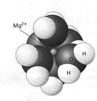 Fig 1 C-C and C-H (hydrocarbons) bonds are nonpolar & hydrophobic In water, hydrophobic molecules and nonpolar