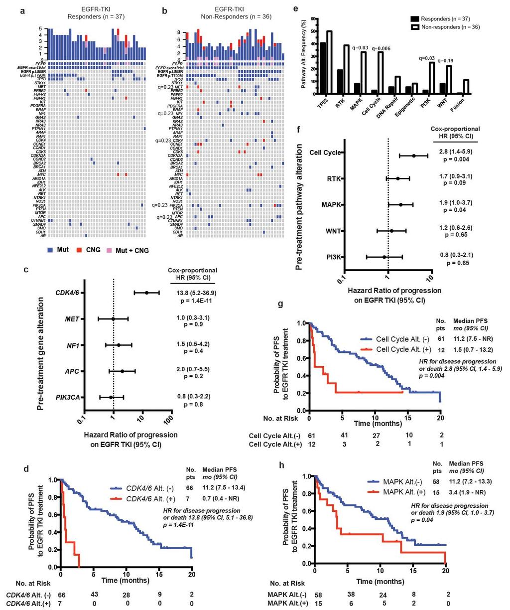 Supplementary Figure 3 Effects of detectable cfdna alterations on EGFR TKI clinical response.