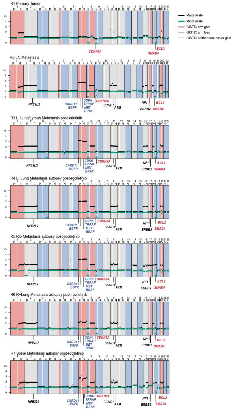 Supplementary Figure 7 Copy number analysis of EGFR-mutant lung adenocarcinoma tumor specimens from patients.