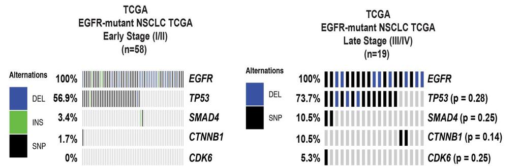 Supplementary Figure 9 Relative frequency of co-occurring genomic alterations in early- versus late-stage EGFR-mutant NSCLC.