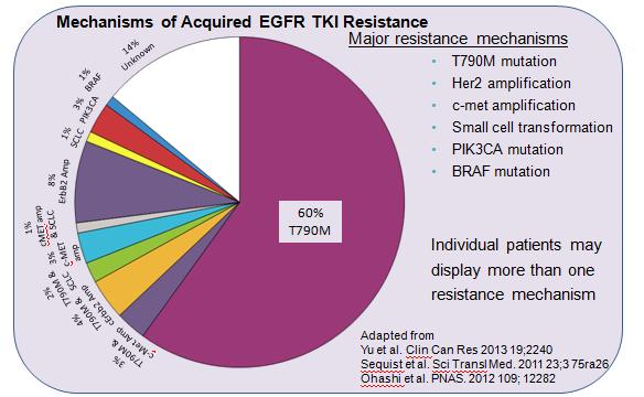 EGFR TKI Therapy and Resistance in NSCLC EGFR mutation positive (EGFRm+) NSCLC is effectively treated by 1 st line EGFR-TKI s with response rates of approximately 70% and a median PFS of 10 months.