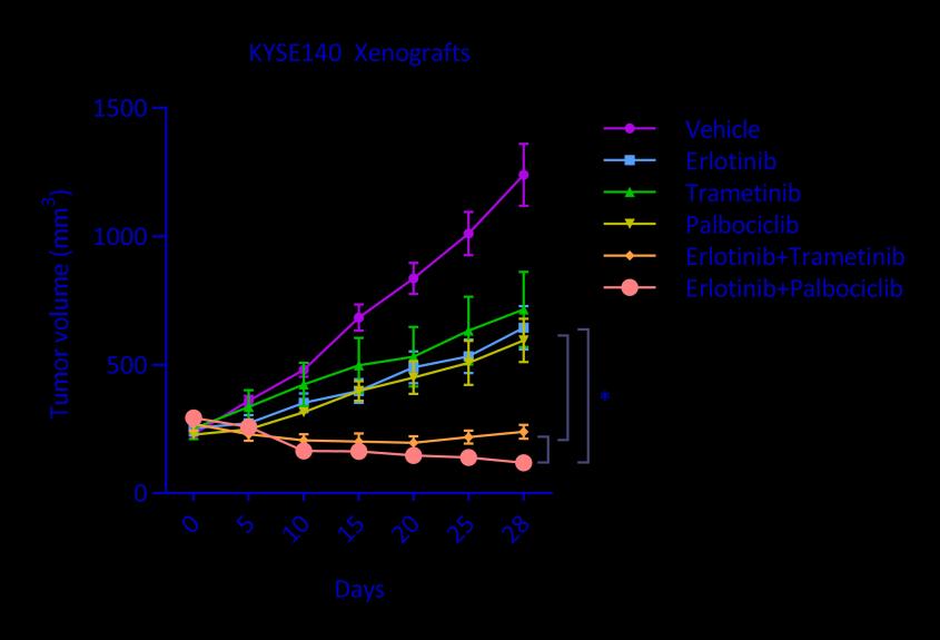 Supplementary Figure 17. CDK4/6 inhibition improves erlotinib response in ESCC xenografts.
