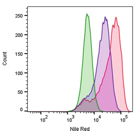 5x10 4 4x10 4 RFU 3x10 4 2x10 4 1x10 4 10 2 10 3 10 4 10 5 Nile Red 0 1:2,000 1:4,000 1:8,000 0 Oleic Acid Dilution Figure 2.