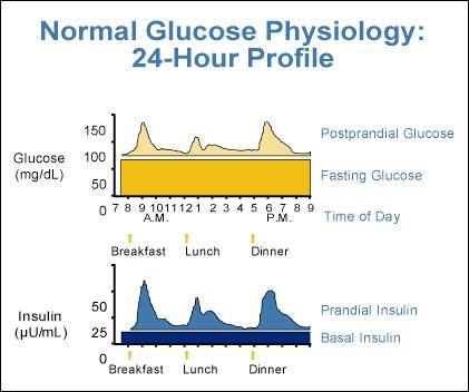 Insulin Injections or Insulin Pump Food in type 1 diabetes There is NO such thing as a diabetic diet.