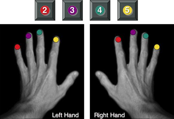 Asymmetric ipsilateral effects due to tdcs over M1 1669 Fig. 1. Unimanual, explicit finger-sequencing task. Example sequences for the right and left hands.