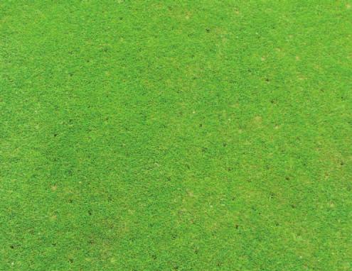 Formulation Technology doing its job. Colin Robinson, Course Manager Kings Lynn Golf Club Norfolk In mid-august I applied to treat a Fusarium outbreak on one of my greens.