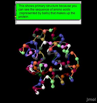 to label each Page 2: 1. Label the ball and stick amino acid models as indicated in the What to do section. 2. Use the link above to open and explore the 20 rotatable 3D amino acids.