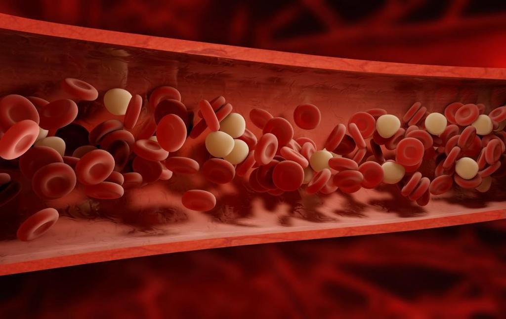 What is Blood? Blood is the bodies main transport system of oxygen and nutrients.