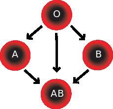 7 Human blood types are example of a trait governed by multiple
