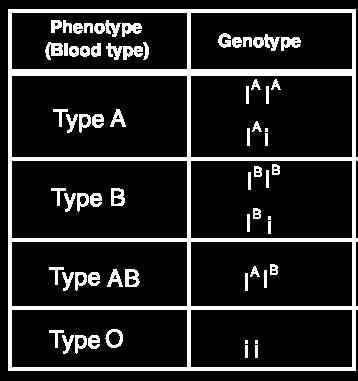 9 To solve genetics problems involving blood types, you need to keep the key in mind.