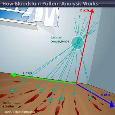 Blood Spatter Analysis Origin Lines of convergence give you a direction that blood came from, but