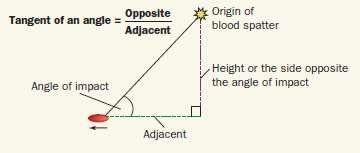 Blood Spatter Analysis - Origin Use angle of impact and convergence lines to make an imaginary right