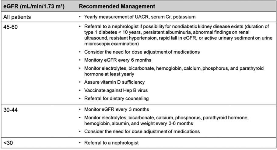 Summary of Diabetic CKD Management Guidelines American Diabetes Association.