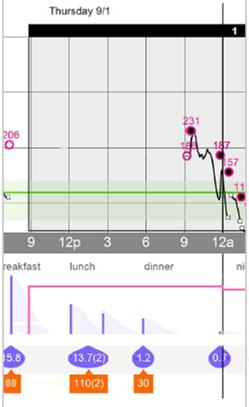 Single Day Auto Mode reservoir and set change in range target setting in CareLink (green shaded area) target while in Auto Mode (green line) time scale SG trace and BG markers meal periods (settings)