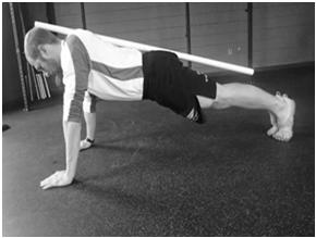 Inner unit muscles provide isometric support of the spine and limit movement of the trunk.