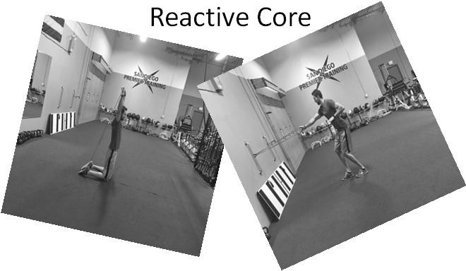 Cardio Core Dynamic Core Reactive Core Core Power Training Exercises Goal is to