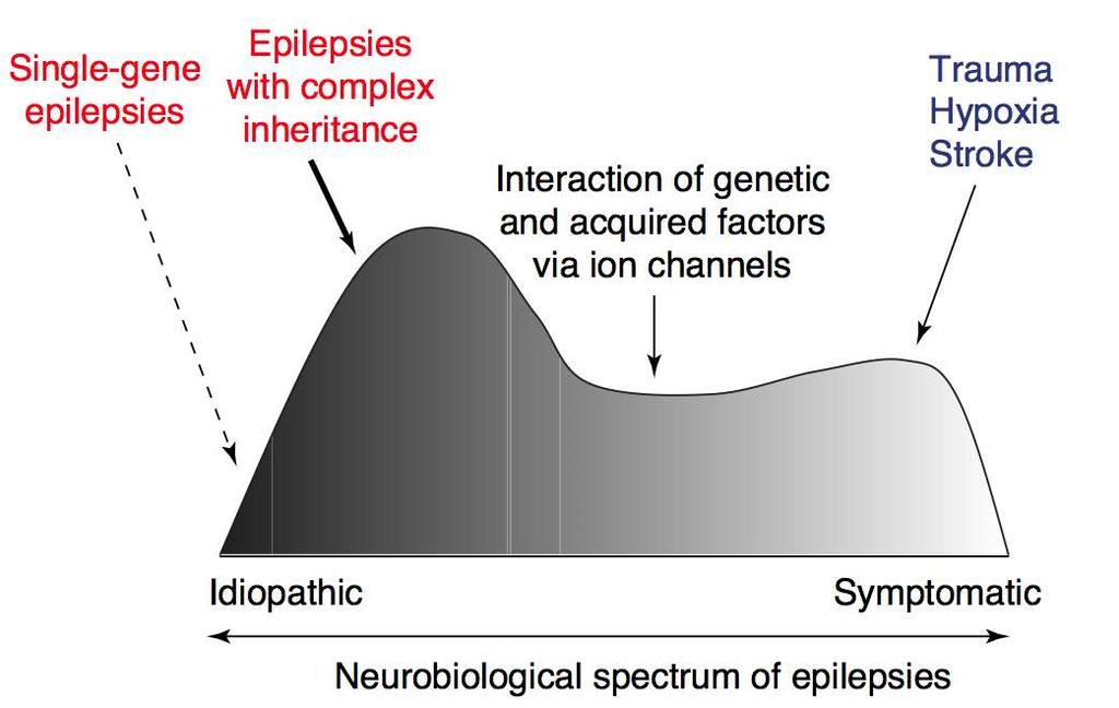 Nature-Nurture in Epilepsy