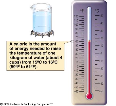 We measure energy in calories or Joules With a Small c 1 Calorie (Cal) = 1