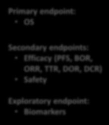 Secondary endpoints: Efficacy (PFS, BOR, ORR, TTR, DOR, DCR) Safety Exploratory endpoint: Biomarkers Patients were permitted to continue treatment beyond