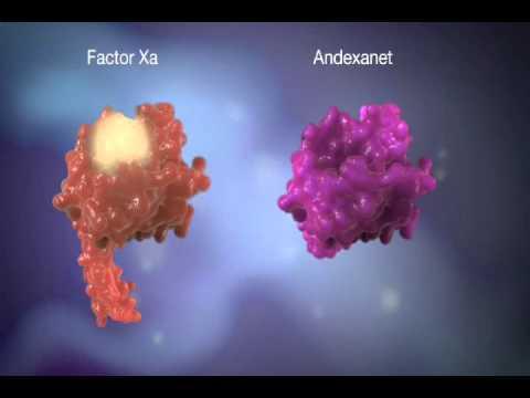 Structure: Humanized antibody fragment (FAb) to dabigatran Andexanet