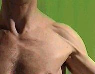 Pectoralis major insertion this produces the