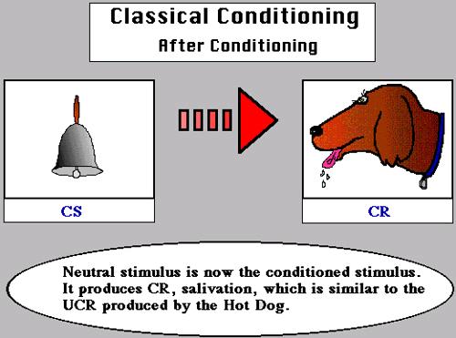 Conditioned Stimulus A CS is the originally neutral stimulus that gains the power to cause the