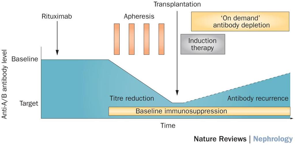 Figure 3 Key elements of recipient desensitization in ABO-incompatible transplantation Böhmig, G. A. et al.