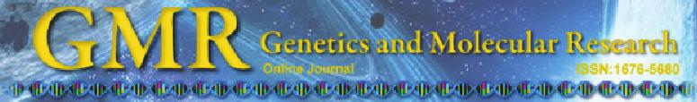 Association of -619C/T polymorphism in CDSN gene and psoriasis risk: a meta-analysis Y. Wu 1 *, B. Wang 1 *, J.L. Liu 2, X.H.