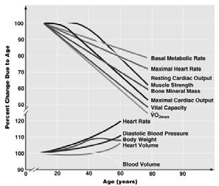 Slow decline in basal metabolic rate May be loss of bone mass Figure 12.