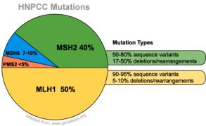 Microsatellite Instability What is MSI? Genetic Test using PCR (polymerase chain reaction) looking for DNA Repair errors and HNPCC features What does positive result indicate?
