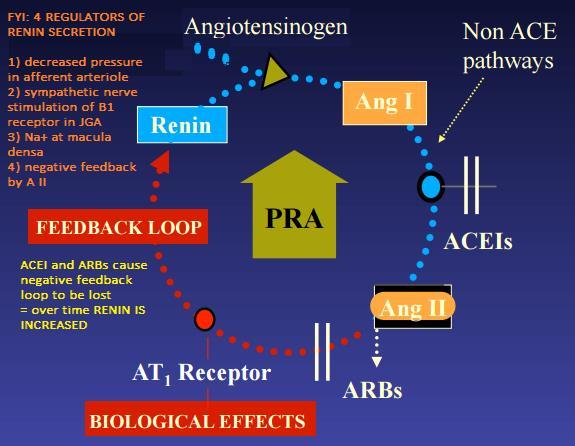 pregnancy ARBs MOA: Competitive inhibitors of angiotensin type 1 receptors Primary action is to decrease total peripheral resistance Has no effect on bradykinin