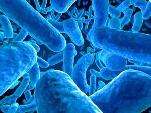 10x more microbial cells than human Gut