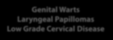 16, 18 HPV 6, 11 Cervical Cancer Anogenital