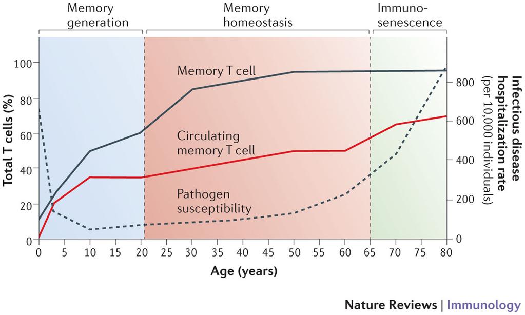 Dynamic changes in frequency of memory T cells with age Memory T cell frequency, pathogen susceptibility and mortality throughout human life blood, intestines, skin, liver, brain and lymphoid tissue