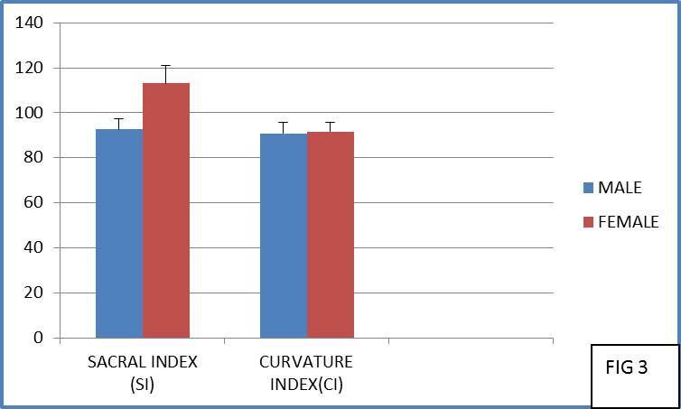 2: Bar diagram showing the Length (L), Breadth (B) & Curvature Length (CL) in Male & Female Sacrum Fig. 3: Bar diagram showing the Sacral Index (SI) & Curvature Index (CI) in Male & Female Sacrum SL.
