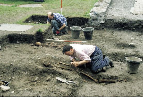 4.Trained to excavate