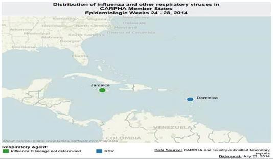 Resp viruses in Member Countries, EW 24-28, 2014 In Cuba during EW 31, the number of SARI-associated hospitalizations (n=24) decreased from the previous week.