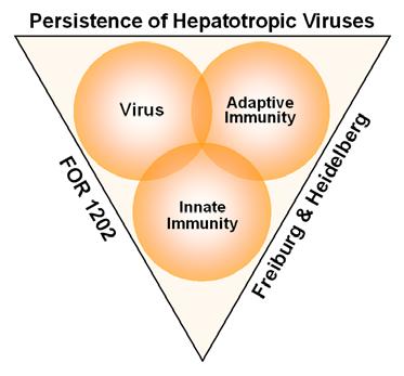 hepatotropic viruses