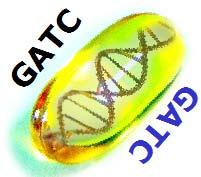 GATC: Genotypic Adjustment of Therapies in