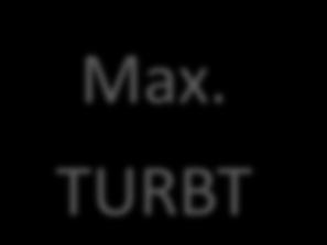 Max. TURBT 3